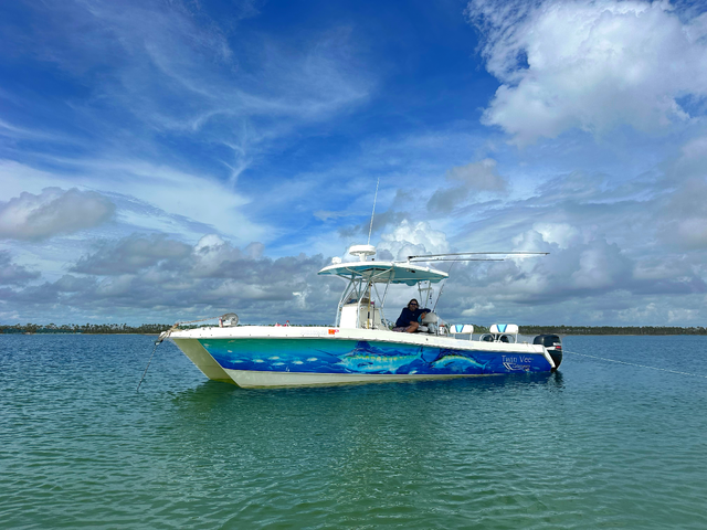Listing image 1105847