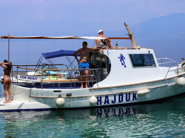 Listing image 1104296