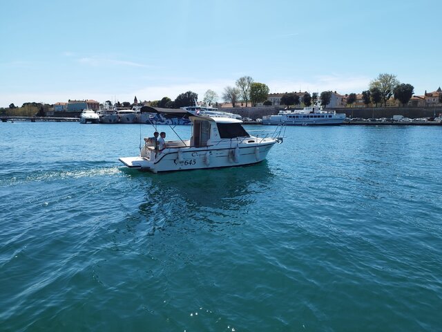 Listing image 1104281