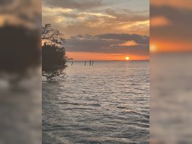 A stunning sunset over the water, framed by trees and remnants of old pilings, creating a picturesque coastal scene perfect for evening reflections.