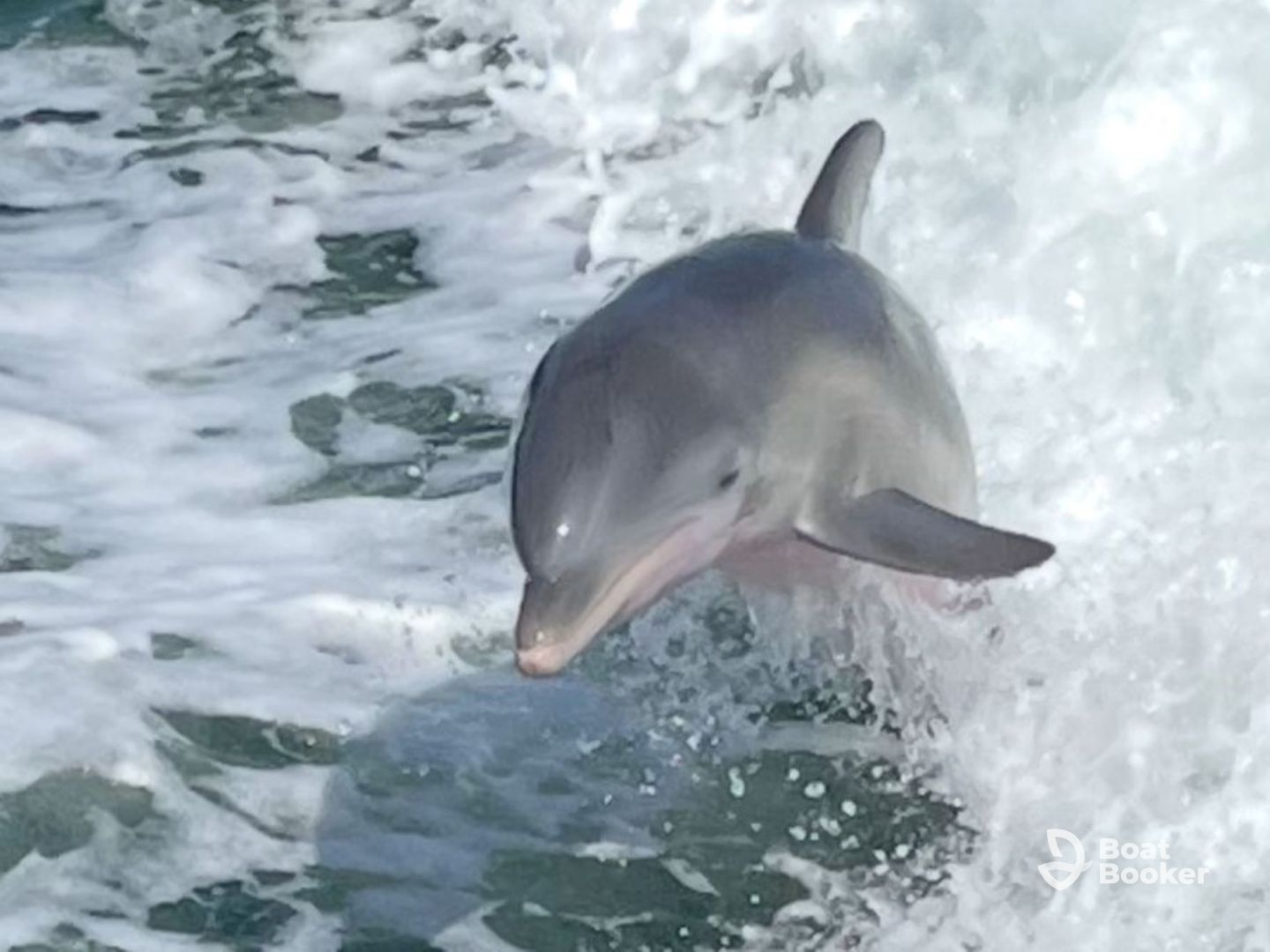 Coastal Friends Boat Tours
