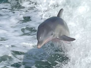 Coastal Friends Boat Tours
