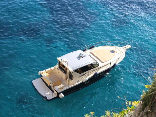 Listing image 1104721