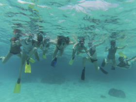 A lively group of snorkelers enjoys an underwater adventure, showcasing the vibrant marine life in crystal-clear waters.