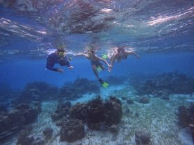 A group of snorkelers explores vibrant underwater scenery, showcasing the beauty of marine life and coral formations — a perfect adventure for ocean enthusiasts.