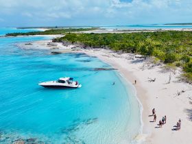 A vibrant scene at a picturesque beach with a group enjoying the sun and water, while a sleek boat is anchored nearby — perfect for a sandbar stop and fun in the sun.