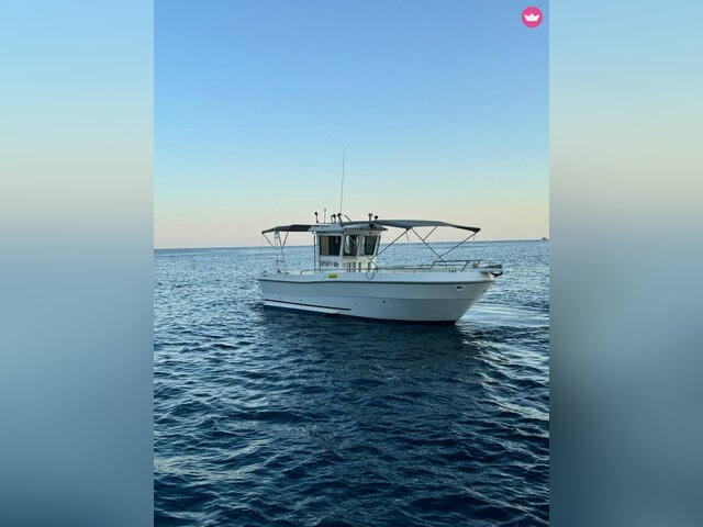 Listing image 1105109