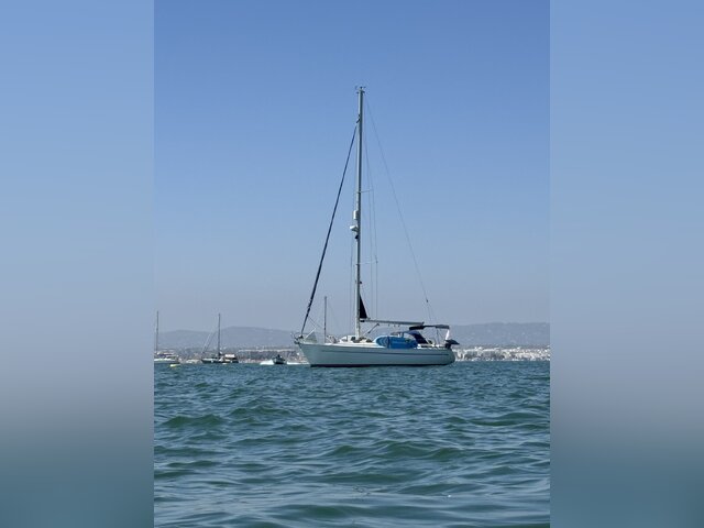 Listing image 1105378
