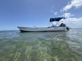 A picturesque view of a boat anchored in clear waters, showcasing its sleek design against a bright blue sky — perfect for a day of exploration on the water.
