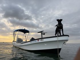 A dog stands proudly on the bow of a boat, enjoying the serene waters and cloudy sunset backdrop — a perfect companion for boating adventures.