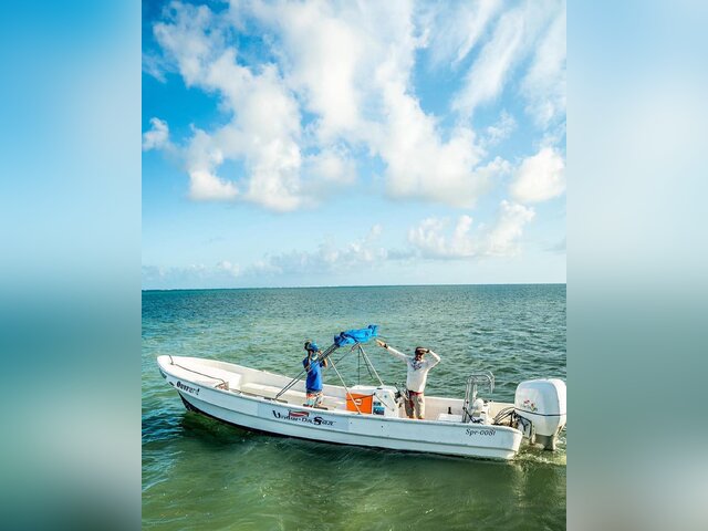 Listing image 1105671