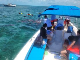A group of snorkelers enjoys an exciting underwater adventure while aboard a boat, showcasing the vibrant ocean and marine life.