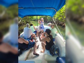 A lively group enjoys a boat tour through mangroves, capturing memories and celebrating the beauty of nature together.