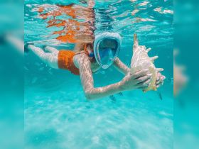 A snorkeler explores the vibrant underwater world, holding a beautiful sea shell while surrounded by colorful fish — a perfect snapshot of marine adventure.