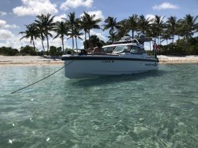 A boat anchored in clear waters near a sandy beach, with guests enjoying the tropical scenery — a perfect spot for relaxation and fun in the sun.