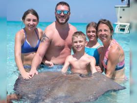 Fun Stingray tours for the whole family to enjoy