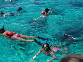 A lively group enjoys snorkeling in crystal-clear waters, showcasing the excitement of underwater exploration and marine life encounters.
