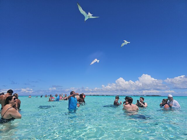Listing image 1106260