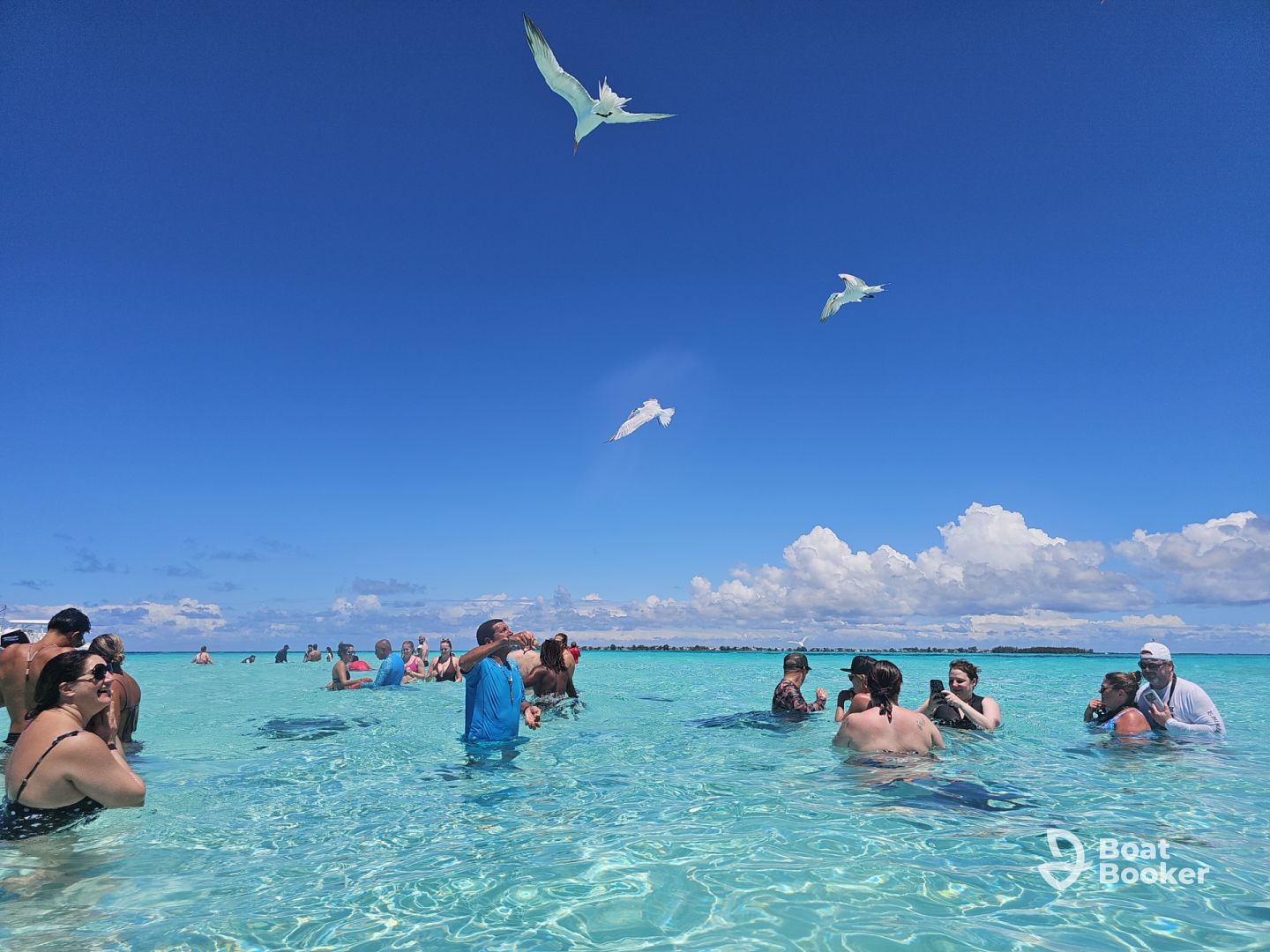 Stingray City Cayman Islands