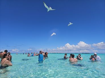 Stingray City Cayman Islands