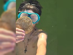 A young snorkeler proudly displays a unique find underwater, showcasing the excitement of marine exploration and wildlife encounters.