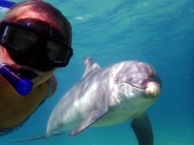 A young snorkeler captures a close-up moment with a friendly dolphin underwater, showcasing a unique wildlife encounter in the ocean.