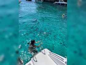A snorkeler enjoys the vibrant underwater life in crystal-clear waters, surrounded by schools of fish — a perfect snapshot of aquatic adventure.