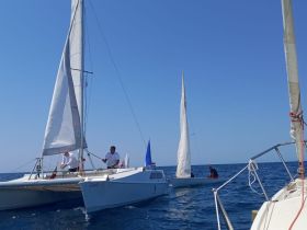 Crew members actively sailing on a catamaran, showcasing the excitement of on-water activities under clear skies.