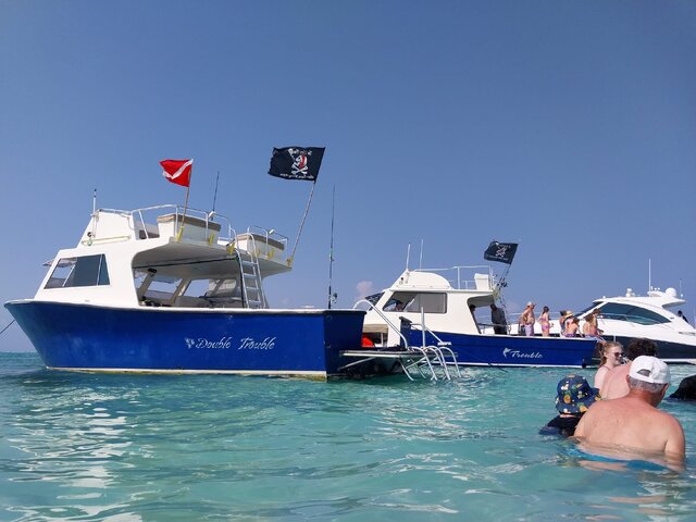 Listing image 1106763
