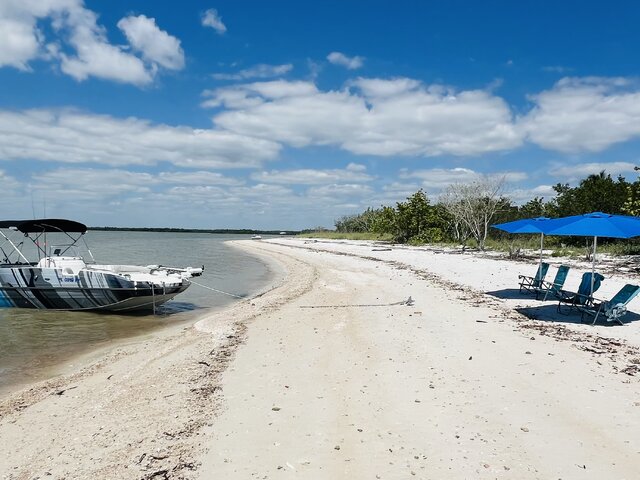 Listing image 1106718