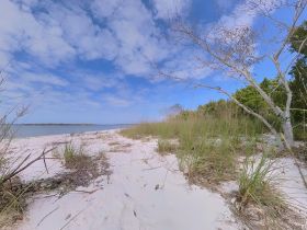 A scenic view of a sandy beach with grass and trees, capturing the natural beauty of the shoreline.