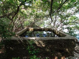 An unclear image of a structure surrounded by dense foliage, possibly a remnant of a dock or platform, reflecting the natural beauty of the area.