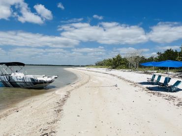 Mangrove Explorers