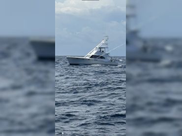 Wallaby Charters