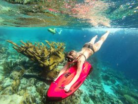 A snorkeler explores vibrant coral reefs while swimming with a water scooter, showcasing the beauty of underwater adventures.