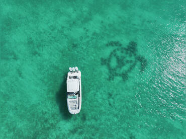 Paradise Luxury Charters