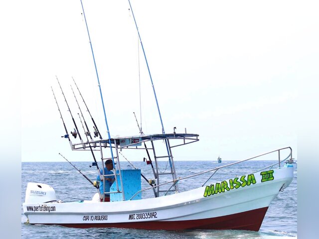 Listing image 1111083