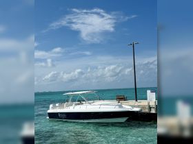 A sleek speedboat is docked in crystal-clear waters, showcasing its elegant design against a backdrop of a bright blue sky — perfect for water sports adventures.