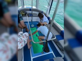 A group of children and adults explore a fishing tank on a boat, creating memorable moments while discovering marine life — perfect for family outings on the water.