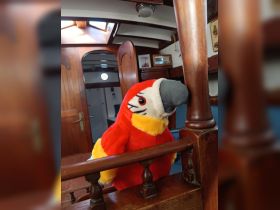 A colorful plush parrot perched in the cozy interior of a boat cabin, showcasing the warm wooden decor and inviting seating area.