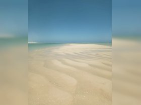 A serene view of a sandy beach and sandbar under a clear blue sky, perfect for a relaxing day by the water.