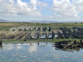 An unclear view of a landscape featuring structures in shallow water, possibly related to marine activities. The image lacks focus and identifiable subjects.
