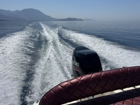 A sleek view of a boat in motion, showcasing the powerful Suzuki engine and the shimmering wake it leaves behind on calm waters, perfect for exploring coastal landscapes.