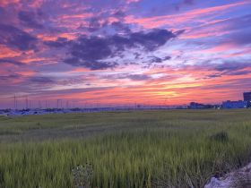 A stunning sunset paints the sky in vibrant hues over a marina, with sailboats silhouetted against the colorful backdrop — a perfect scene for nature lovers and boating enthusiasts.