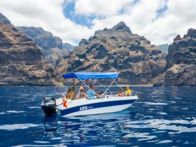 A group enjoys a scenic boat ride on the ocean, surrounded by stunning mountainous landscapes — perfect for adventure seekers and nature lovers.