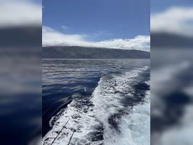 A stunning view of the ocean with gentle waves and a mountainous landscape in the background, capturing the essence of a serene boating experience.