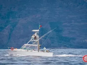 Charter Image