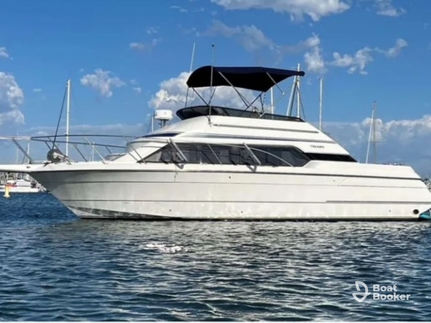Sea Falcon Charters
