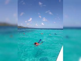 A group of snorkelers explores the vibrant underwater world in crystal-clear turquoise waters, perfect for aquatic adventures.
