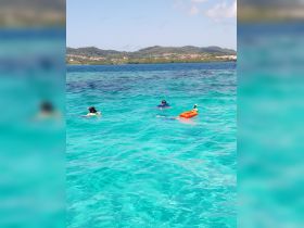 Snorkeling the Roatan wtares
